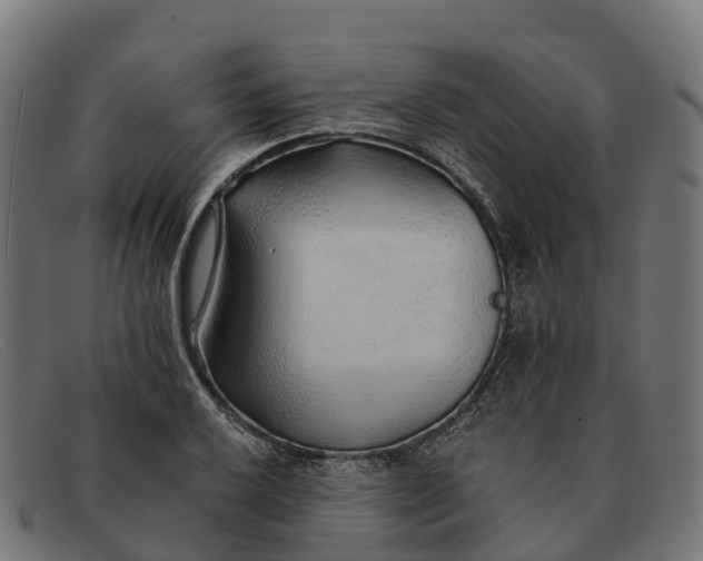 X0000091681032200709131543