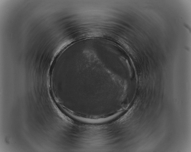 X0000091681034200709131543