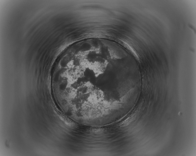 X0000091681035200709131543