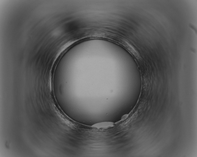 X0000091681036200709131543