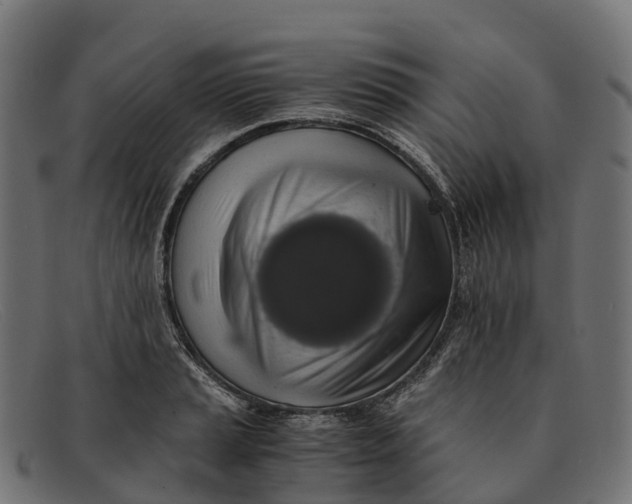 X0000091681037200709131543