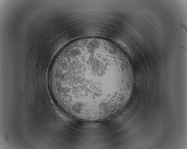 X0000091681039200709131543