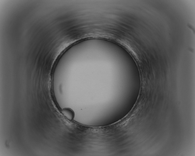 X0000091681040200709131543