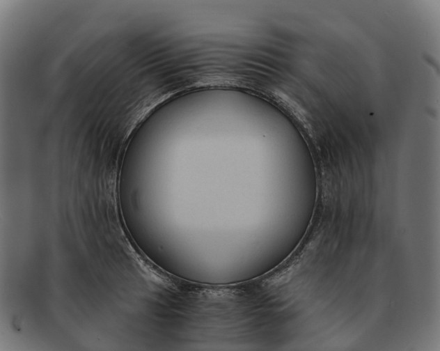 X0000091681041200709131544