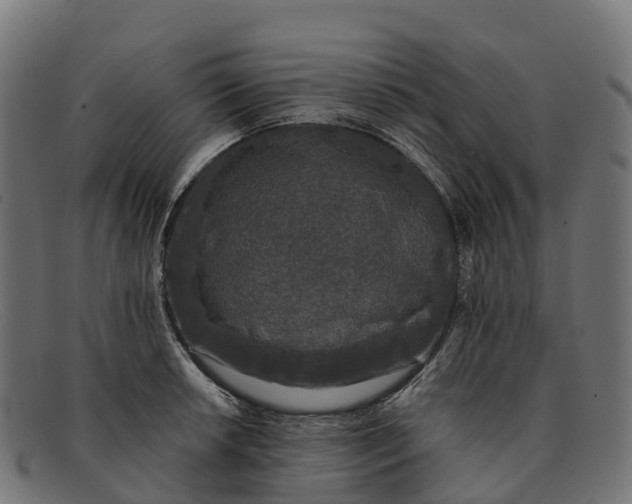 X0000091681042200709131544