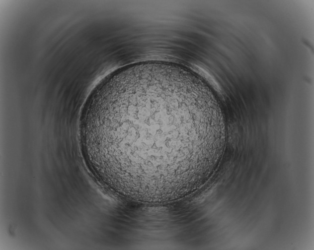 X0000091681043200709131544