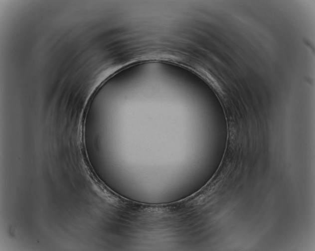 X0000091681044200709131544