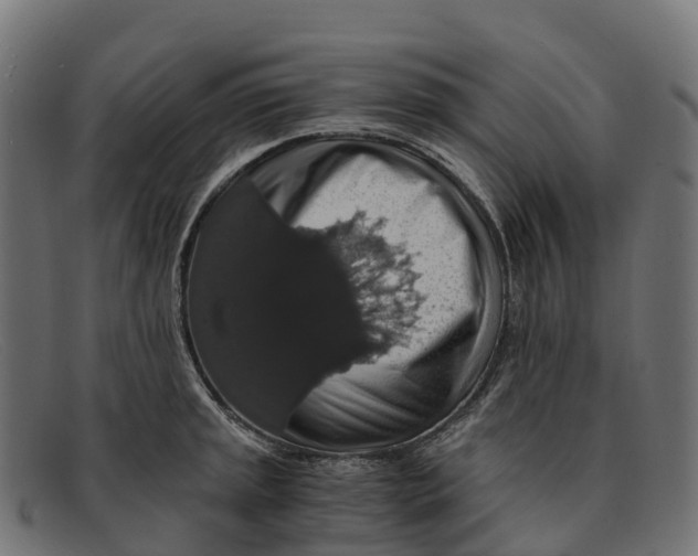 X0000091681045200709131544