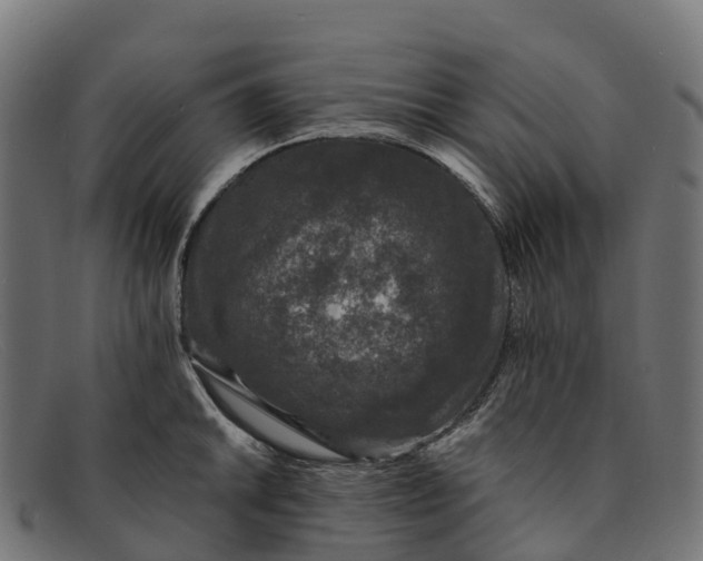 X0000091681046200709131544