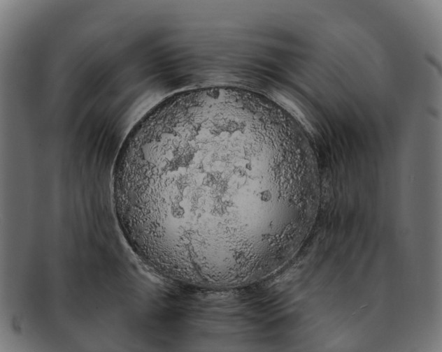 X0000091681047200709131544