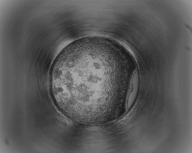 X0000091681048200709131544