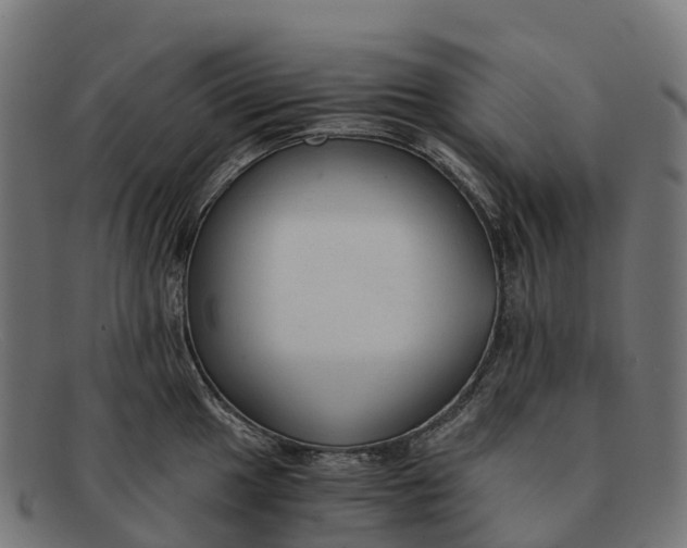 X0000091681049200709131544