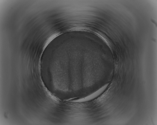 X0000091681050200709131544