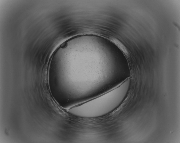 X0000091681052200709131544