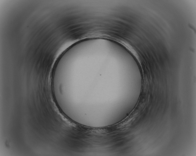 X0000091681053200709131544