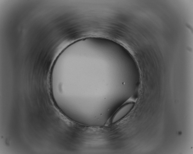 X0000091681056200709131544