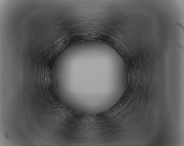 X0000091681058200709131543