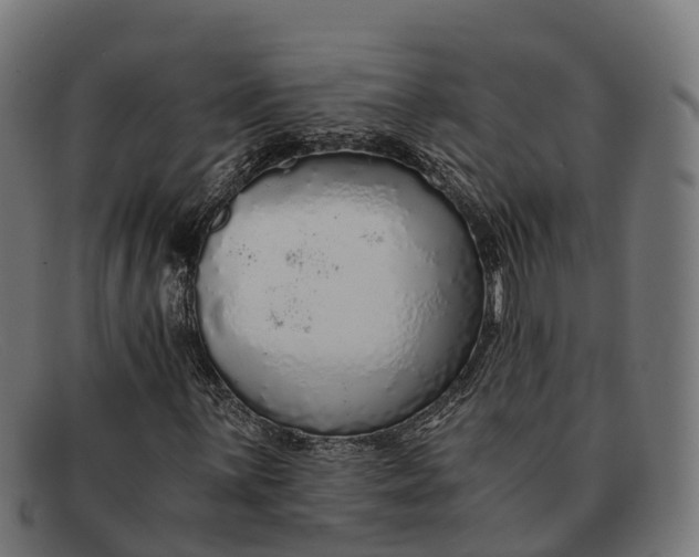 X0000091681059200709131543