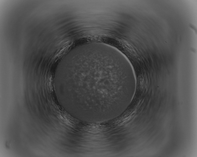 X0000091681060200709131543