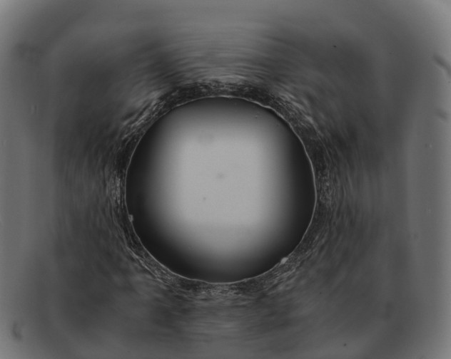 X0000091681061200709131543