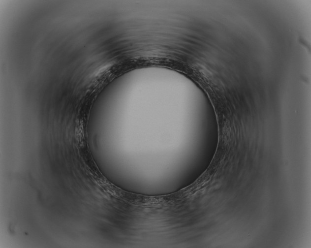 X0000091681062200709131543