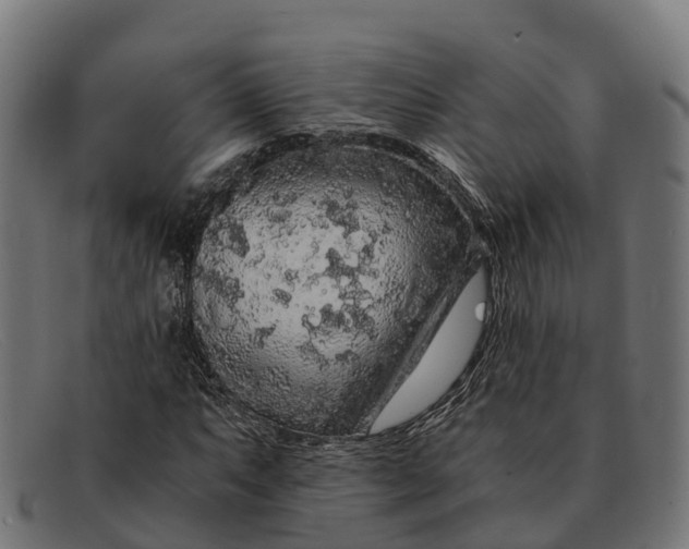 X0000091681063200709131543