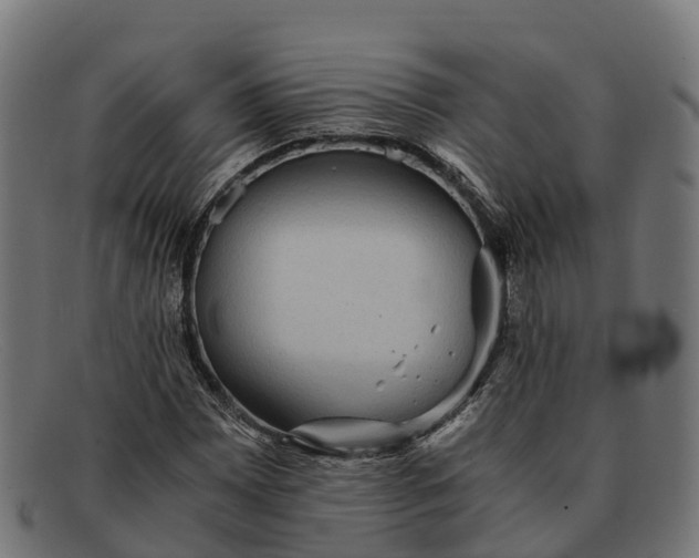 X0000091681065200709131543