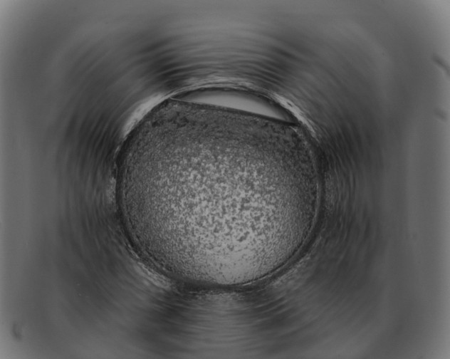 X0000091681066200709131543