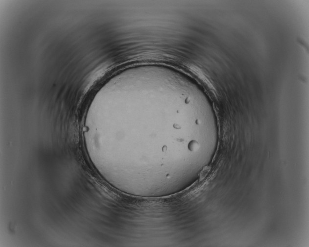 X0000091681067200709131543