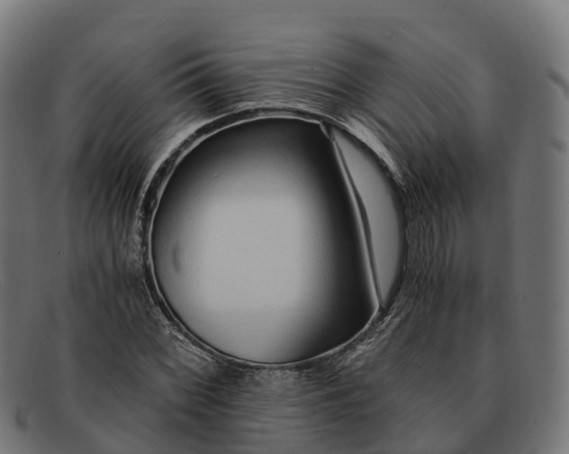 X0000091681068200709131543