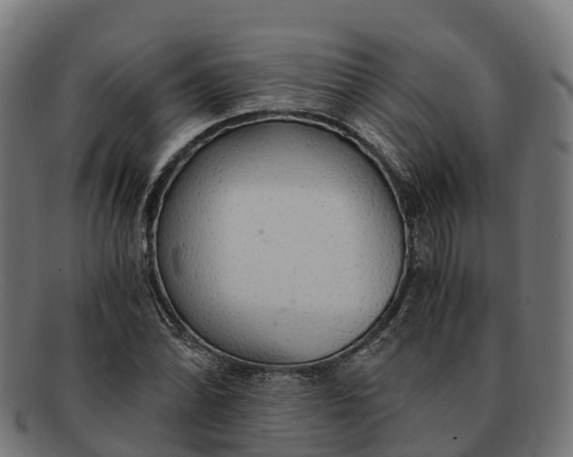 X0000091681070200709131543