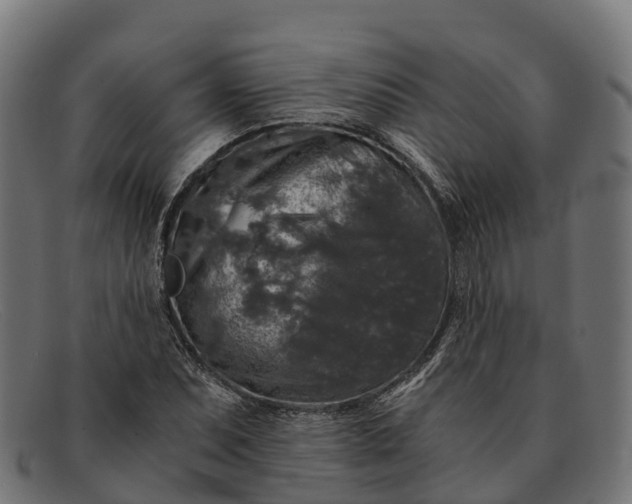 X0000091681071200709131543