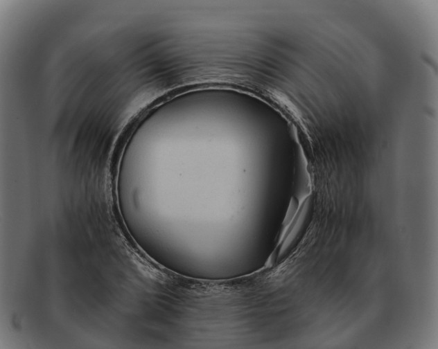 X0000091681072200709131543