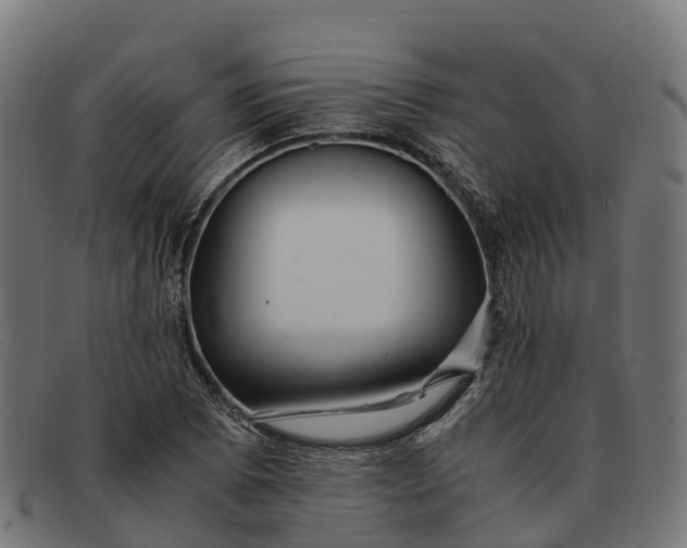 X0000091681073200709131543