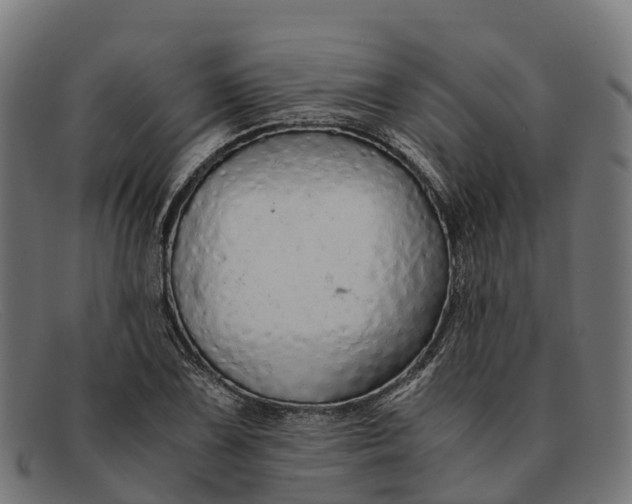 X0000091681075200709131543