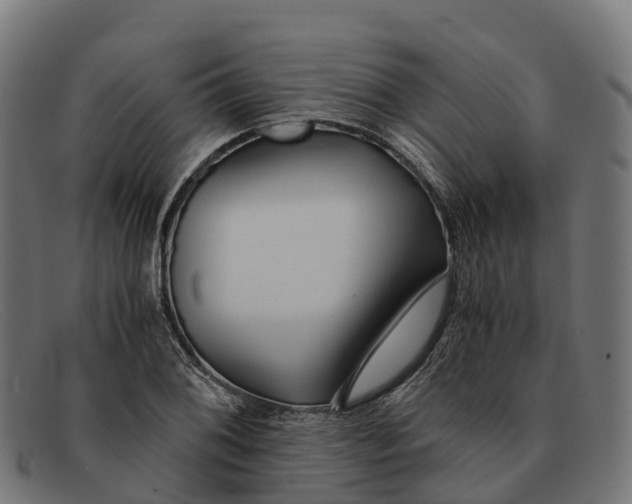 X0000091681076200709131543