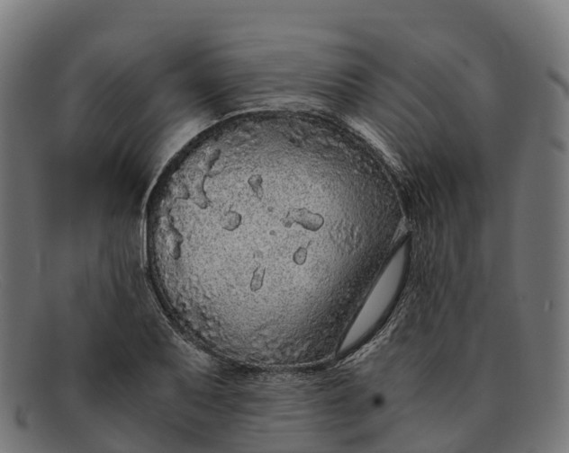 X0000091681079200709131543