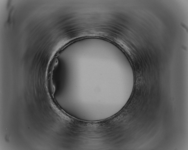 X0000091681080200709131543