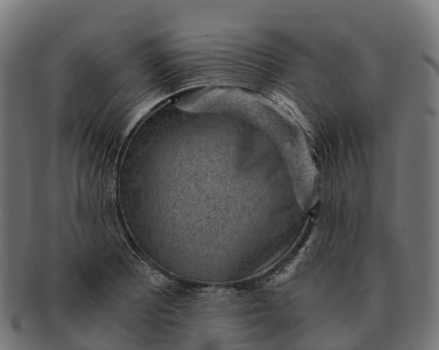 X0000091681081200709131543