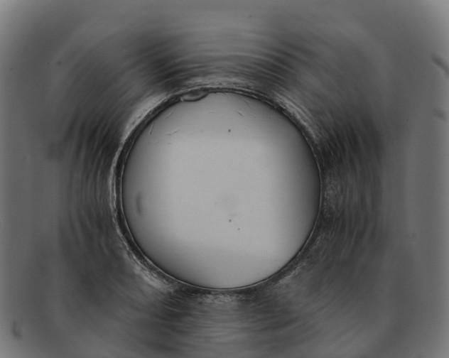 X0000091681082200709131543