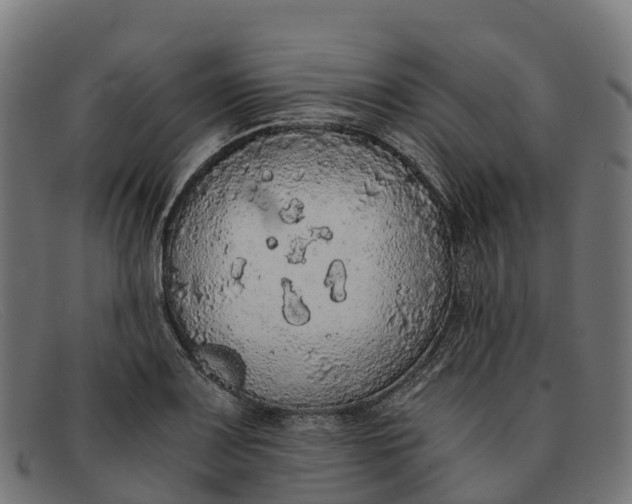 X0000091681083200709131543