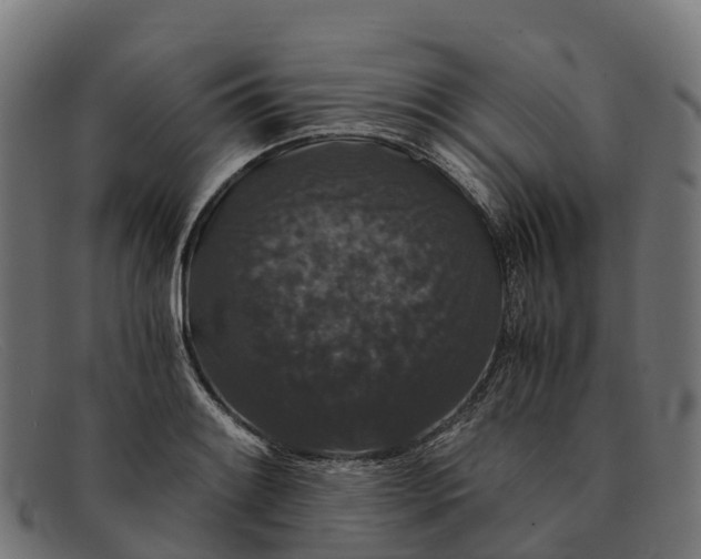 X0000091681084200709131543