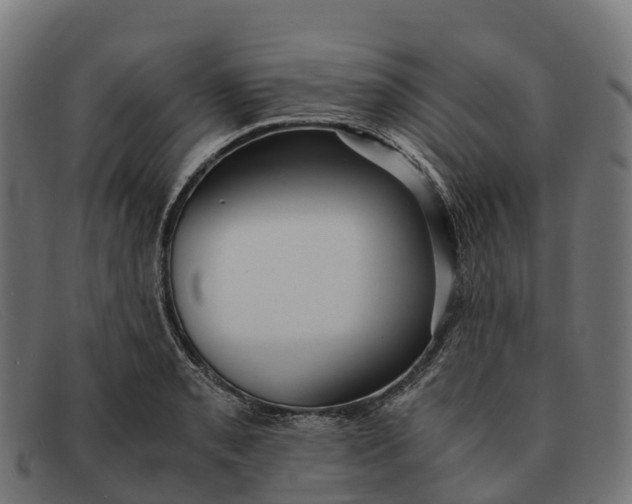 X0000091681085200709131543