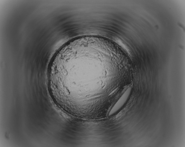 X0000091681088200709131543