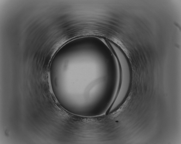 X0000091681089200709131543