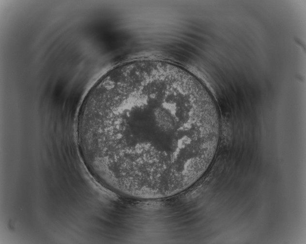 X0000091681090200709131543