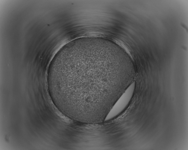 X0000091681091200709131543