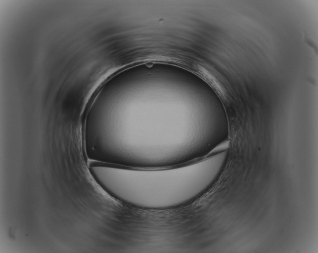 X0000091681092200709131543