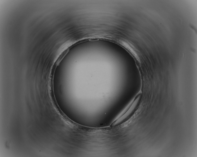 X0000091681093200709131543