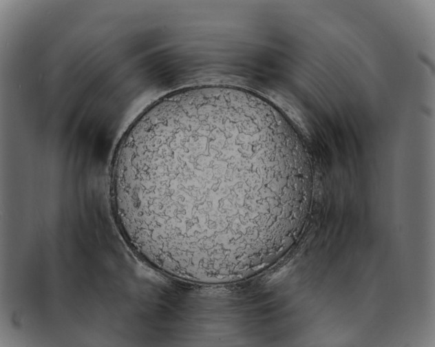 X0000091681094200709131542